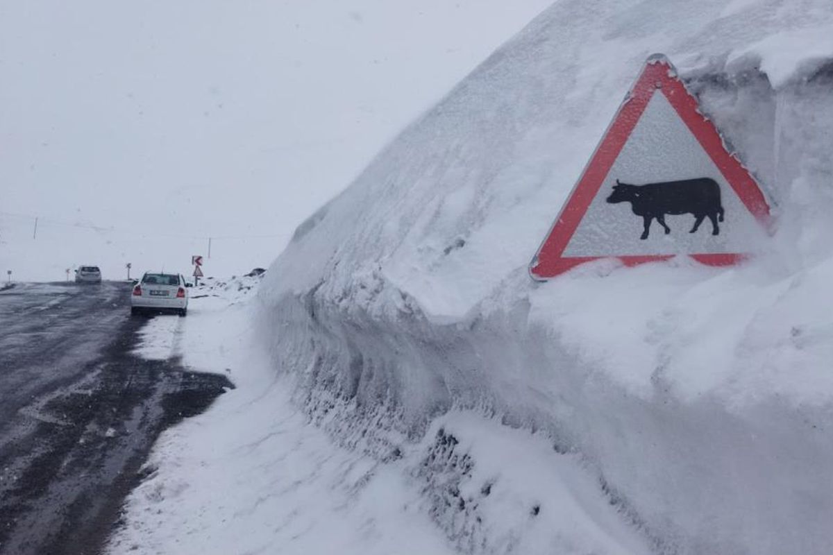 Kar kalınlığı tabela boyunu geçti