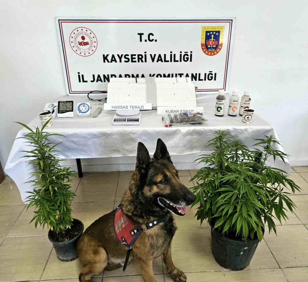 Kayseri\'de Uyuşturucu Operasyonu