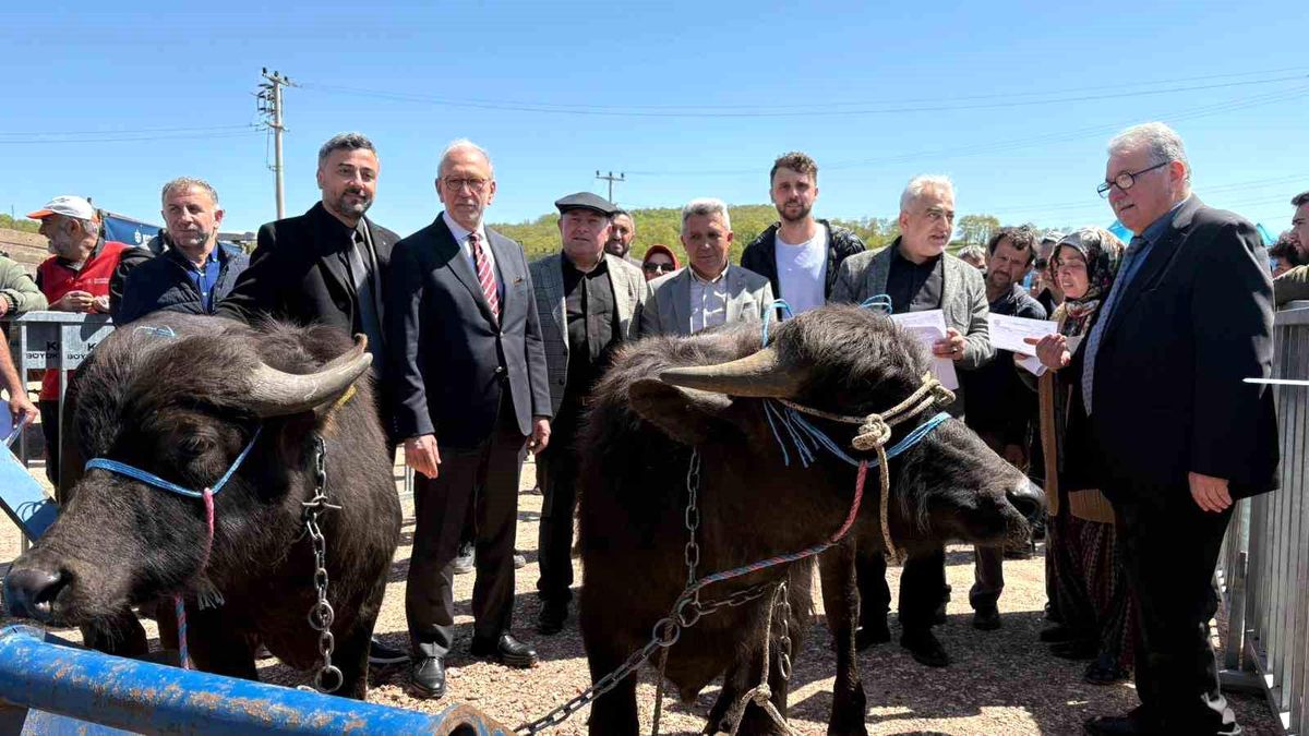Kocaeli\'deki manda yetiştiricilerine 3,4 milyon liralık destek