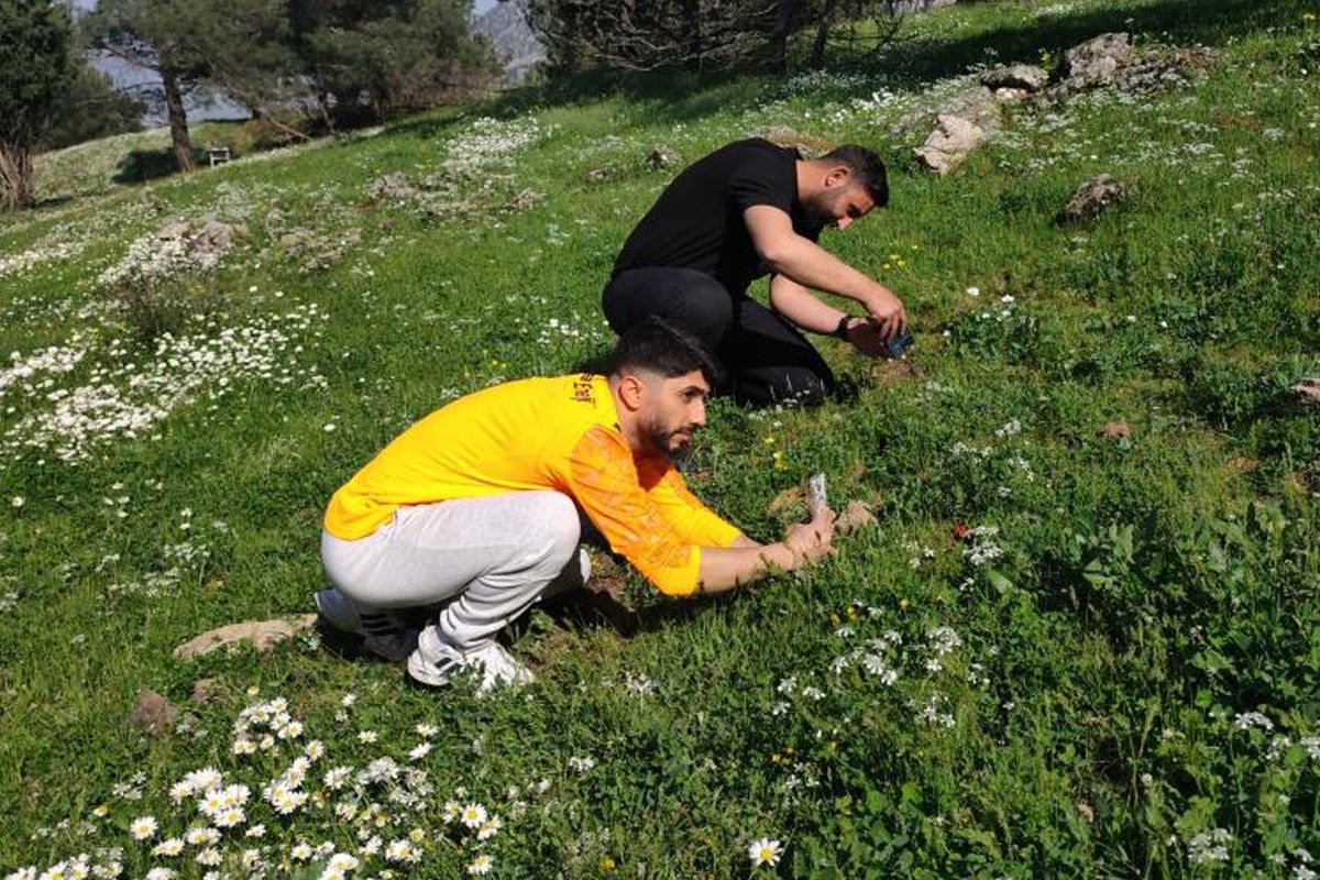 Ömrü 10 gün, koparmanın cezası araba parası