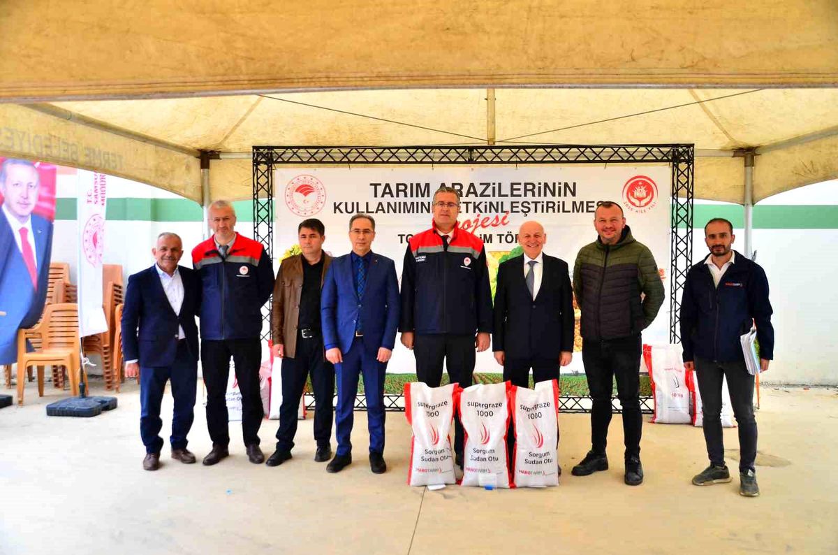 Samsun\'da çiftçilere sorgum sudan tohumu dağıtıldı