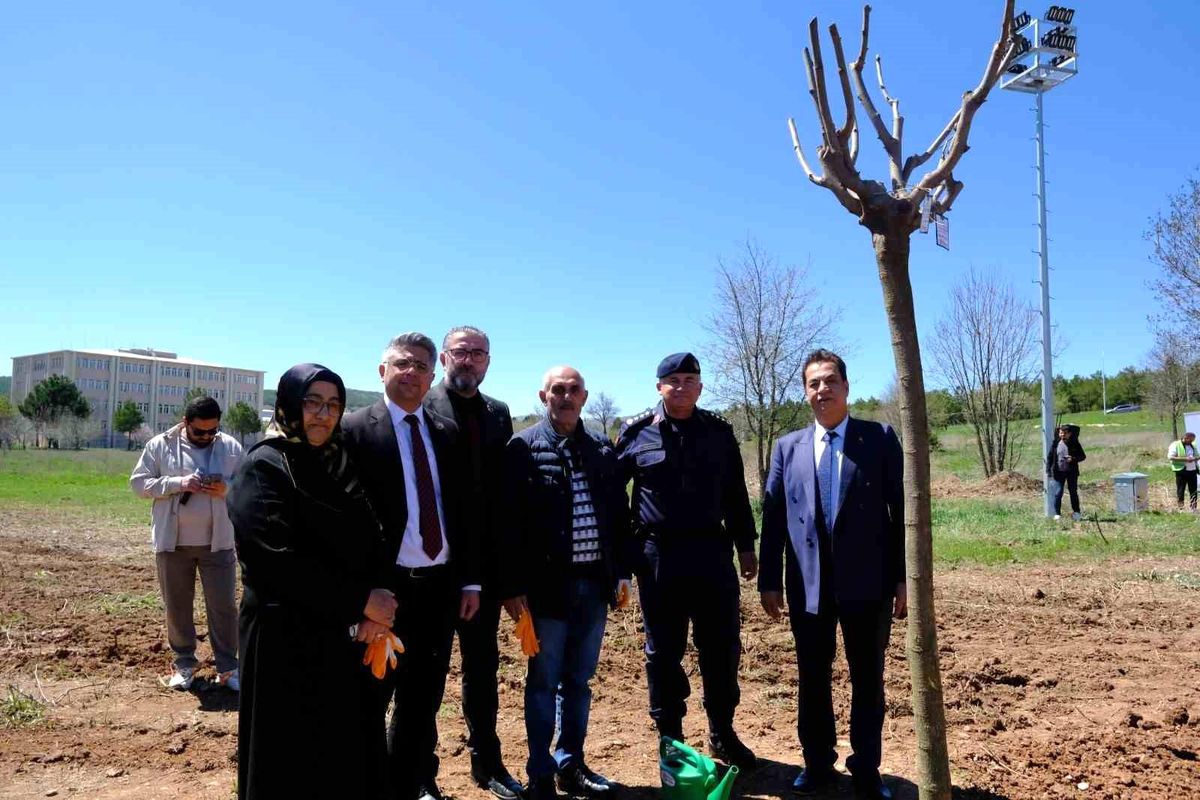 Sivas\'ta şehitlerin adı fidanlarda yaşatılacak