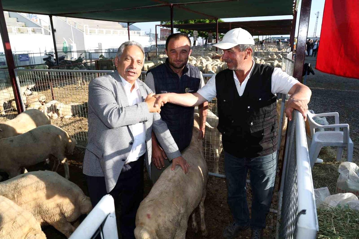 Talas\'ta Kurban Pazarı başvuru tarihi belli oldu