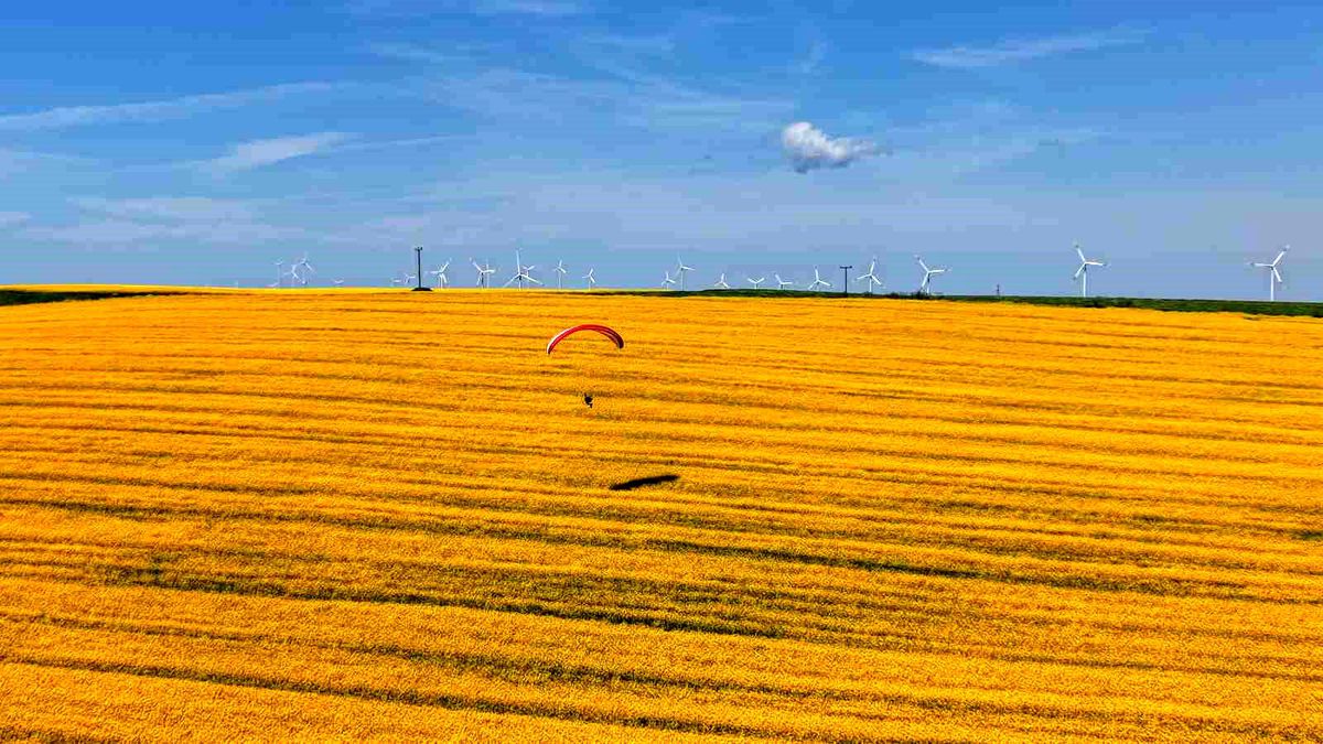 Tekirdağ\'da Kanola Tarlalarında Paramotor Uçuşu