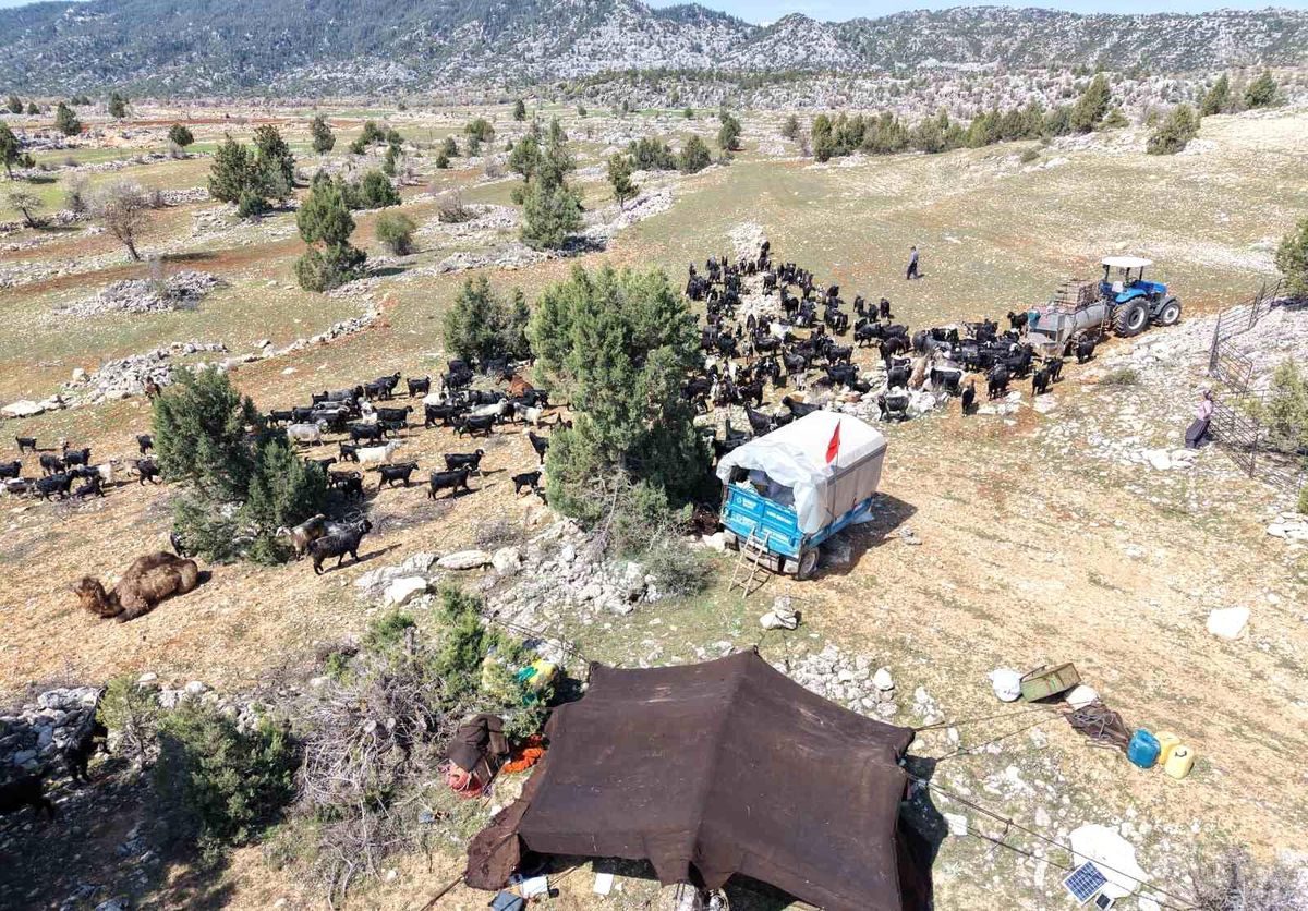 Sarıkeçili Yörükleri Yayla Göçüne Başladı