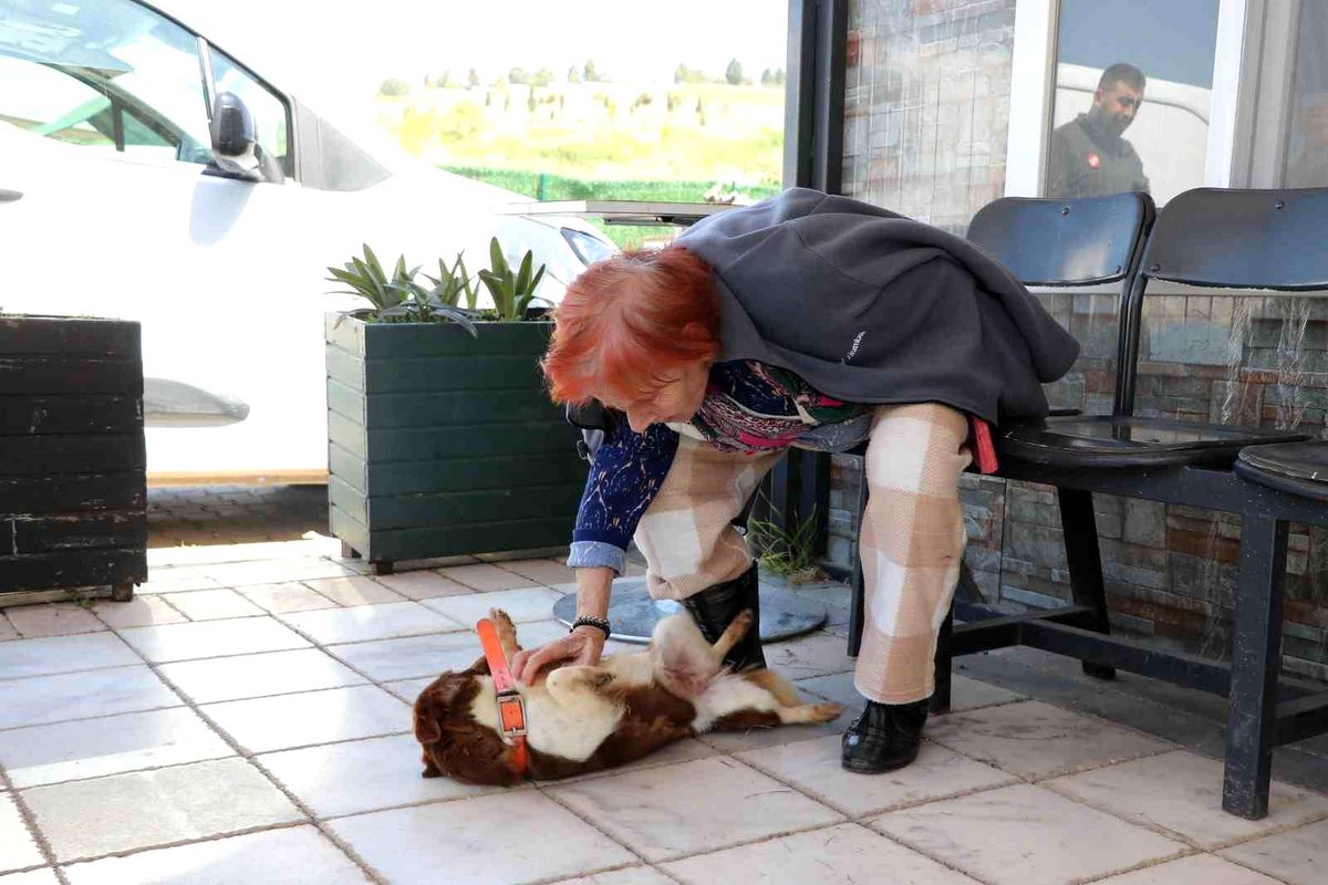 Yalova\'da Cevriye teyze can dostu ile duygulandıran buluşma