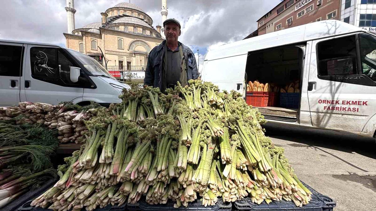 Hakkari\'de Uçkun Sezonu Başladı