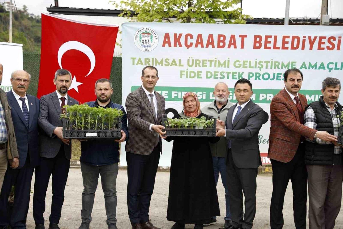 Akçaabat\'ta üreticilere 25 bin sebze fidesi dağıtıldı