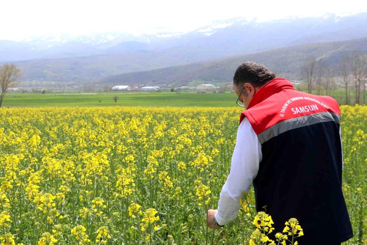 Samsun\'da Tarım Destekleri Başladı