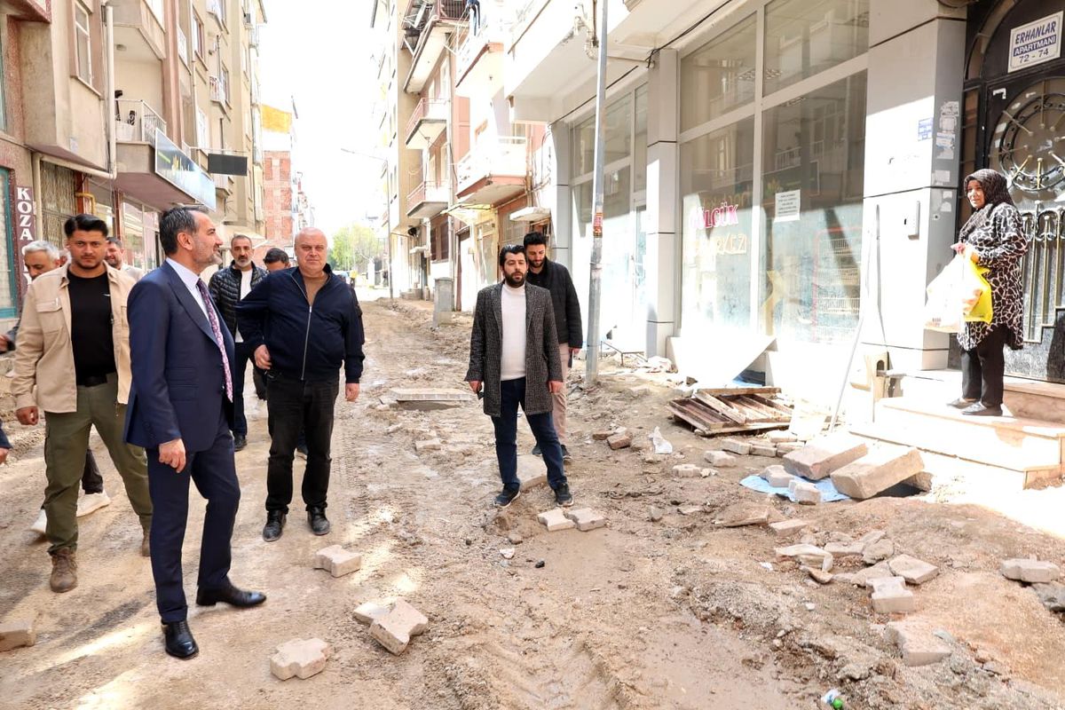 Başkan Şerifoğulları çalışmaları inceledi
