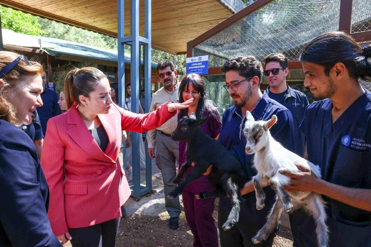 Başkan Vekili Büşra Özdemir: "Veteriner hekimlerin üstlendikleri sorumluluk çok kıymetli"