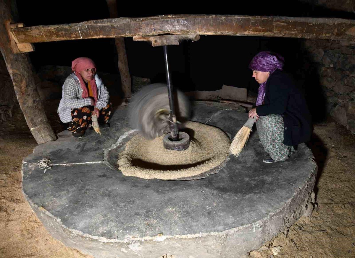 Karbastı\'da Geleneksel Pirinç Üretimi