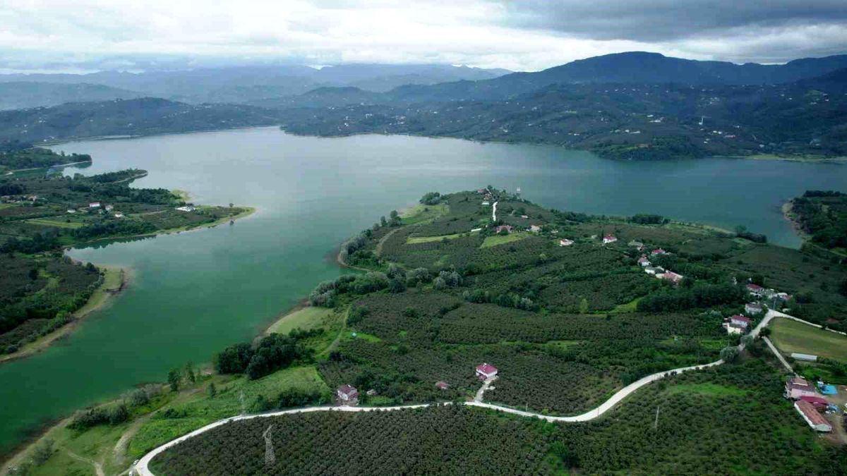 Yağmurlar Samsun\'a içme suyu sağlayan barajları doldurup taşırdı