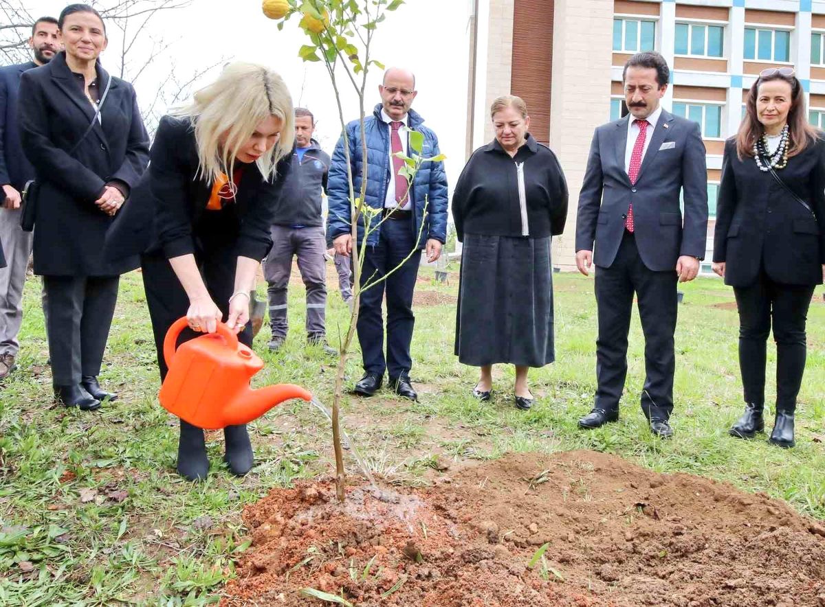Akdeniz Üniversitesi\'nde 5 Binden Fazla Fidan Dikildi