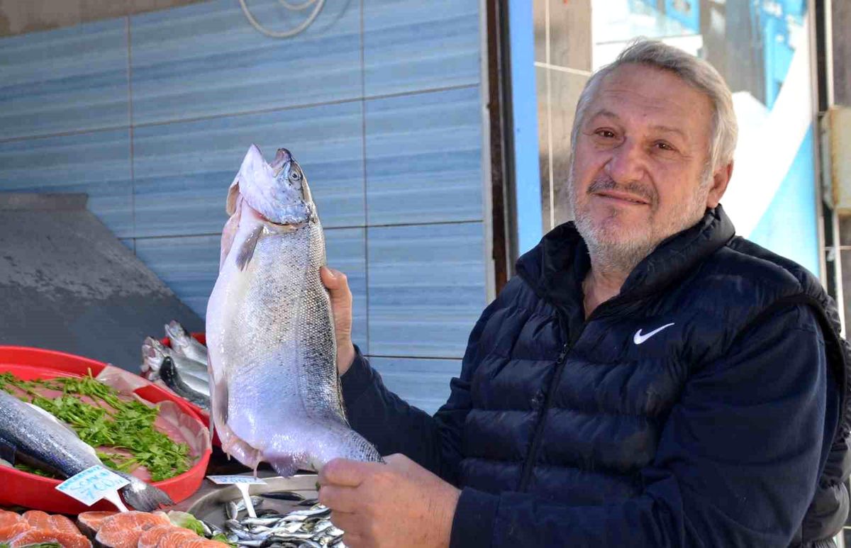 Bilecik\'te Av Yasağına Rağmen Balık Tezgahları Dolu