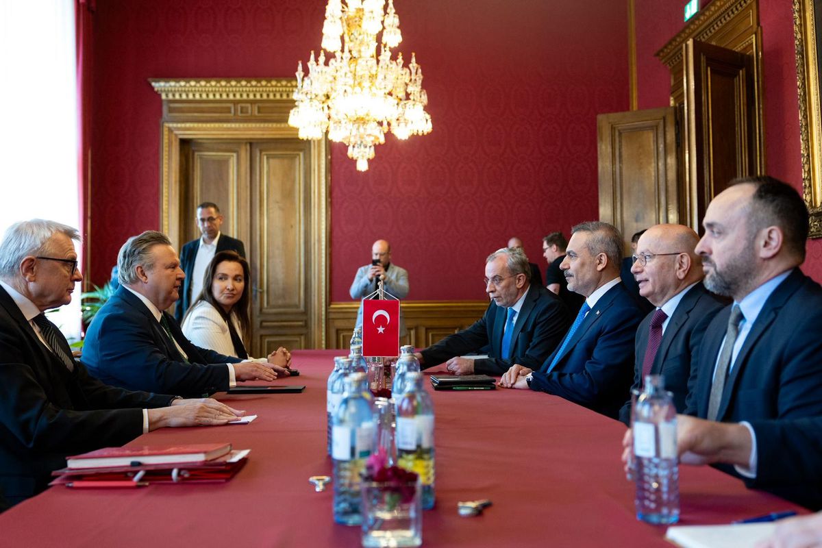 Fidan, Viyana\'da Ludwig ile Görüştü