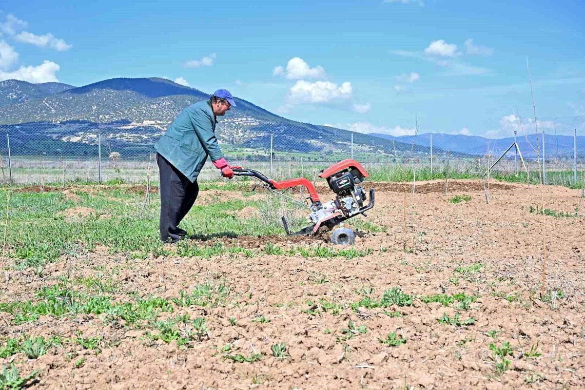 Büyükşehir ipek böceği yetiştiriciliğini yaygınlaştırıyor
