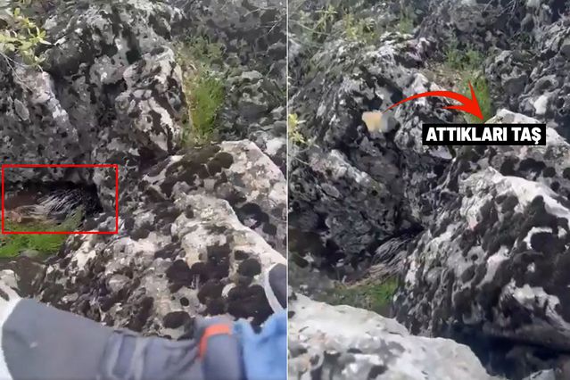 Diyarbakır’da bir garip olay! Korkup taşa tuttukları şey bakın ne çıktı