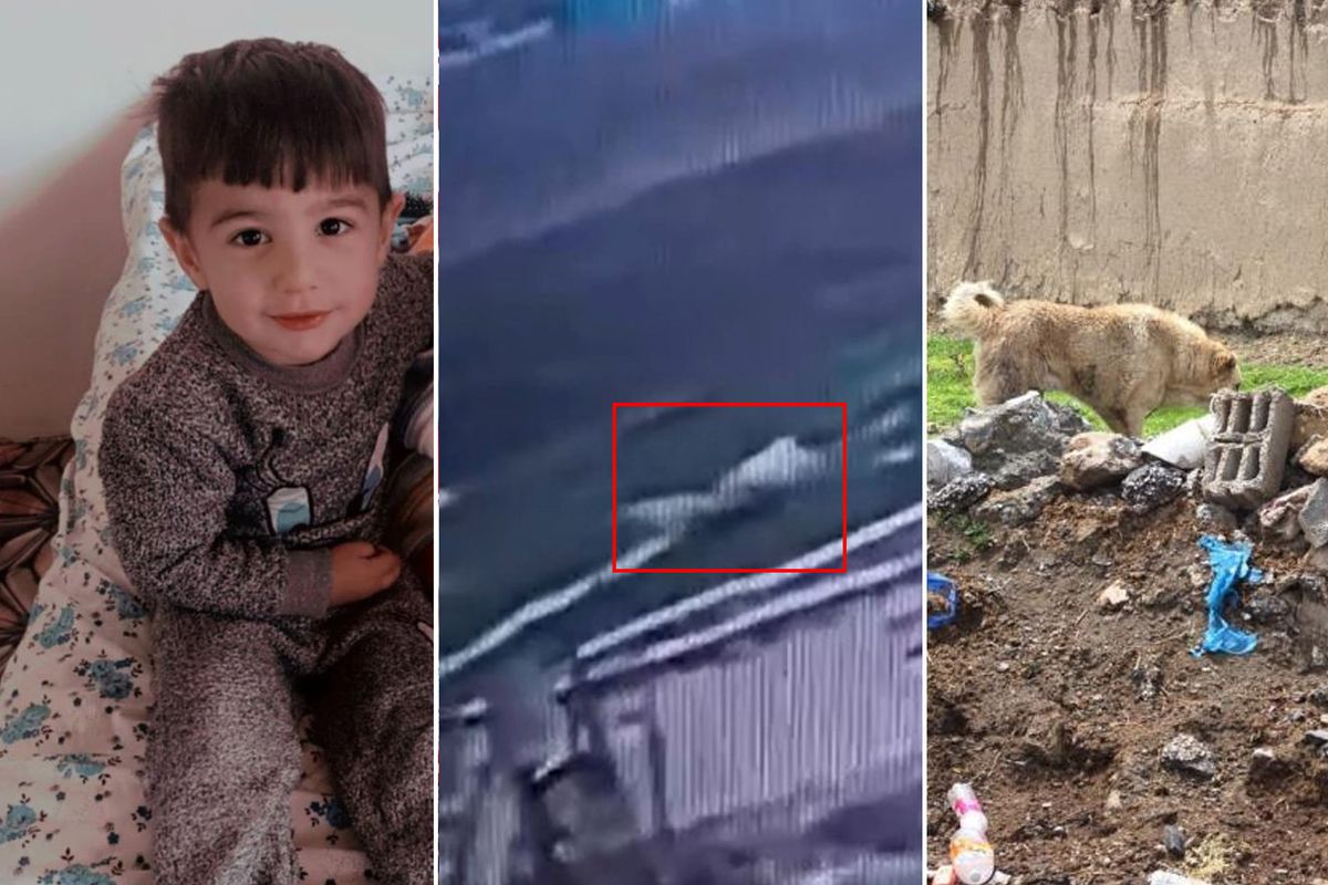 5 yaşındaki Hamza\'nın can verdiği köpek dehşetinin görüntüleri ortaya çıktı