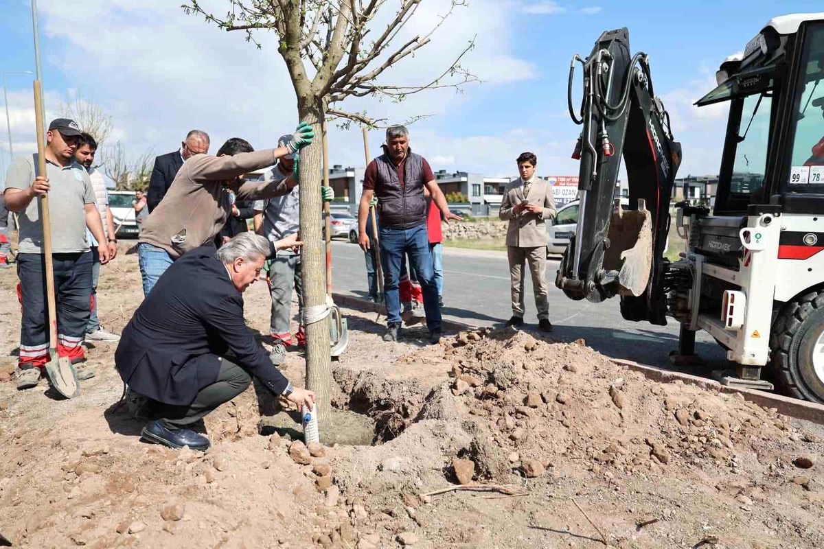 Melikgazi, ağaçlandırma çalışmaları ile geleceğe daha yeşil bir miras bırakıyor