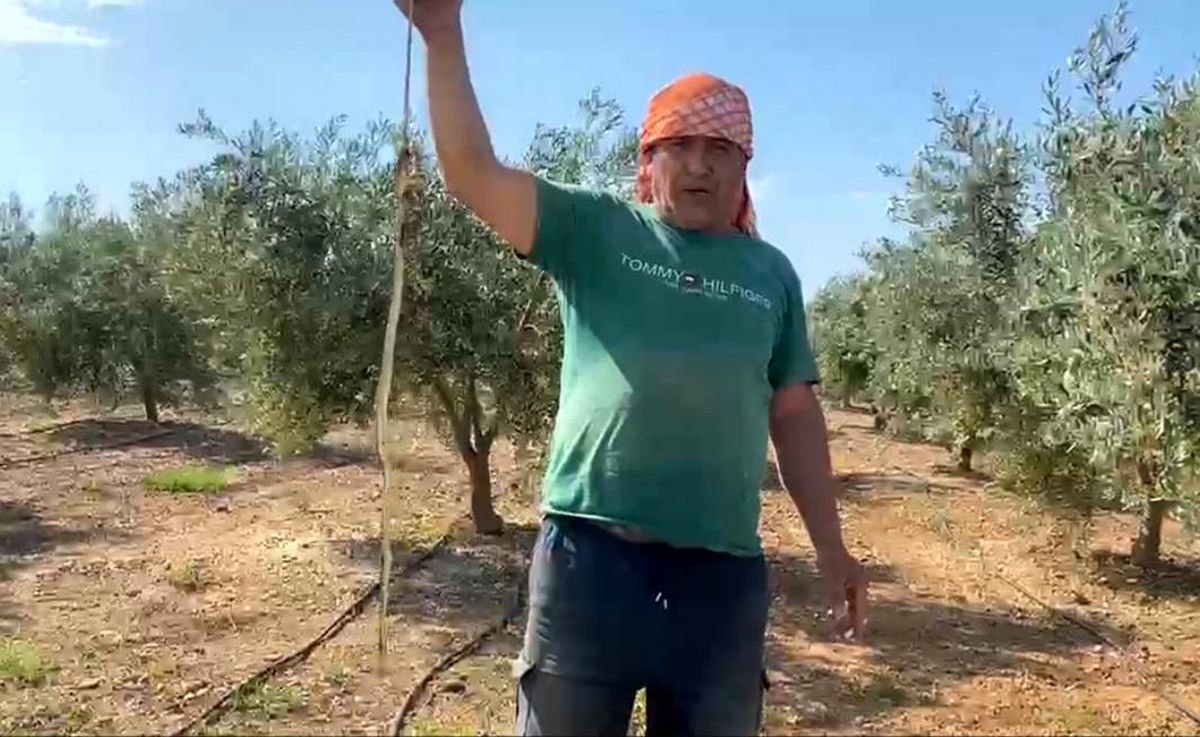 Karpuz Serasında Yılanla Karşılaşan Çiftçi Cesaretiyle Etkisiz Hale Getirdi