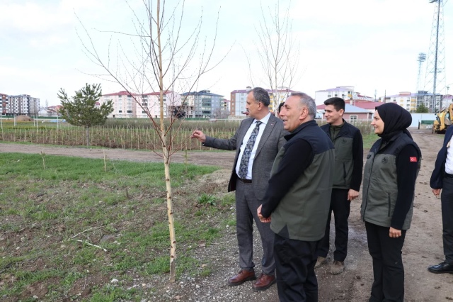 Vali Bozkurt’tan orman yatırımlarına yakın takip