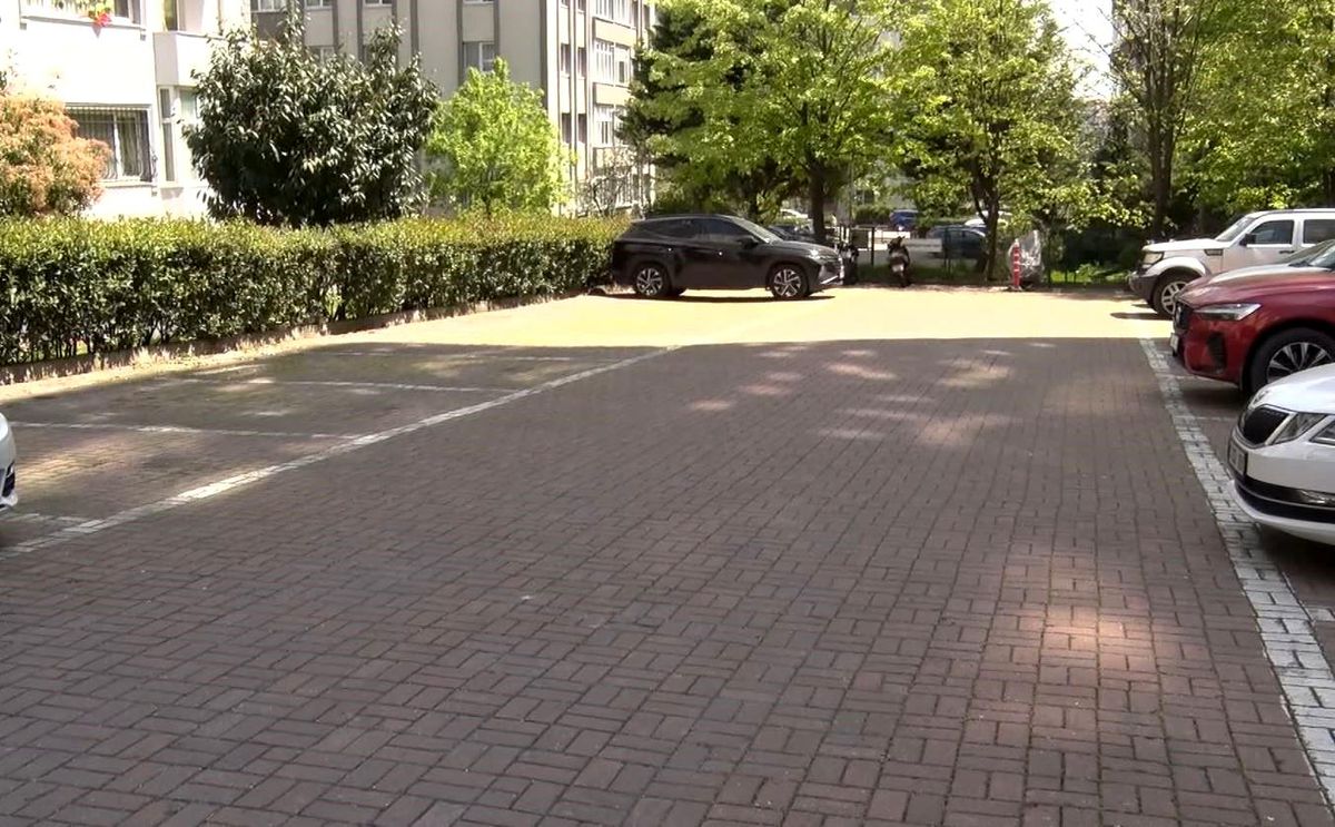 Beylikdüzü\'nde başıboş köpekler vatandaşı kovaladı