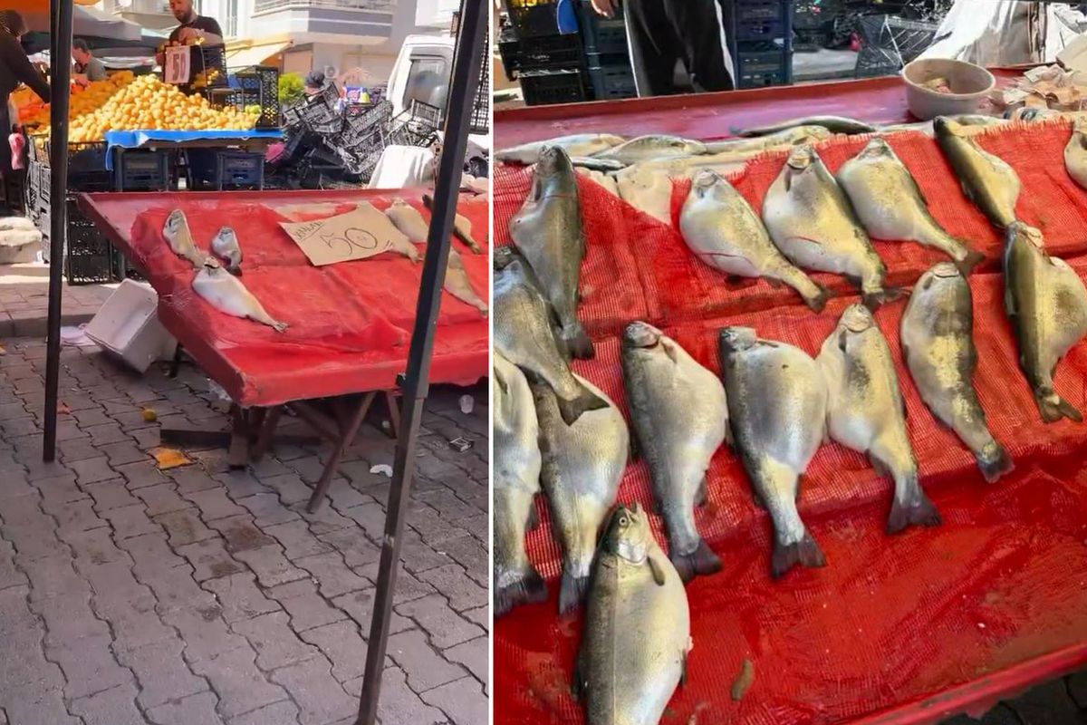 Pazarda kilosu 50 TL\'ye satılıyor! Gıda mühendisi uyardı: Sakın almayın