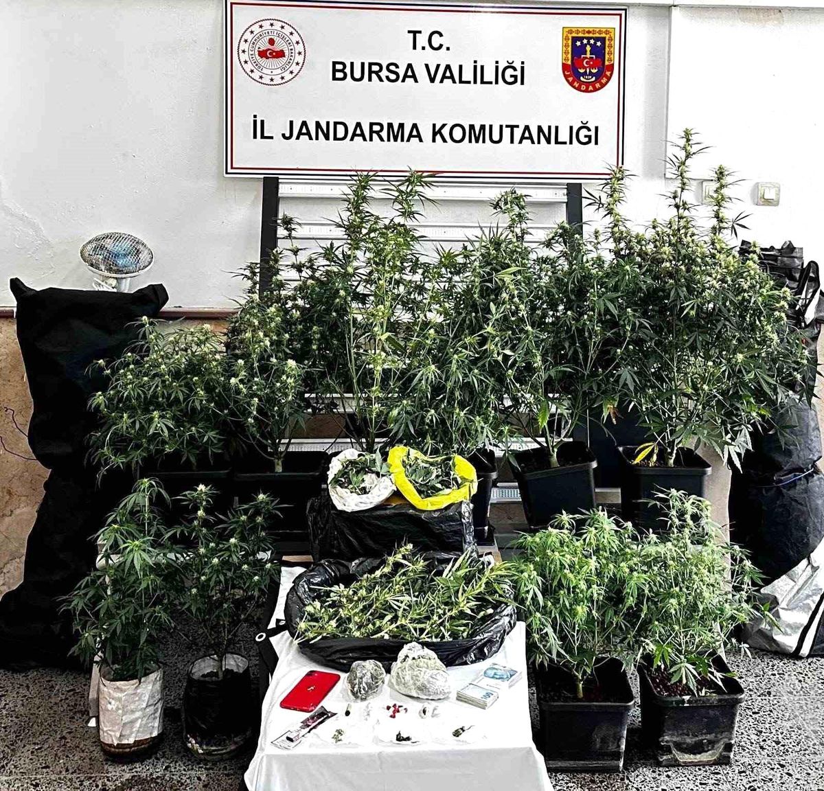 Bursa\'da Uyuşturucu Operasyonu: Şüpheli Tutuklandı