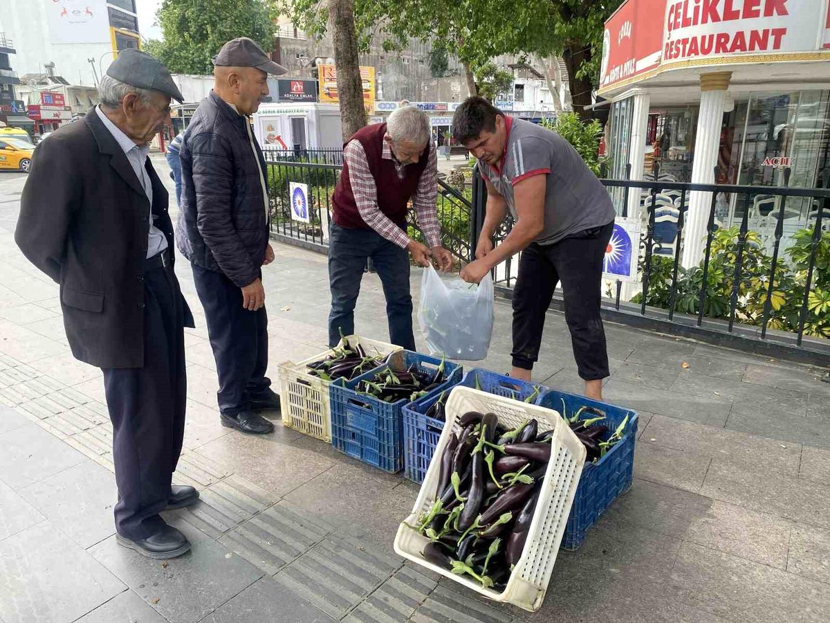 Antalya\'da Patlıcan İsyanı: Ücretsiz Dağıtım