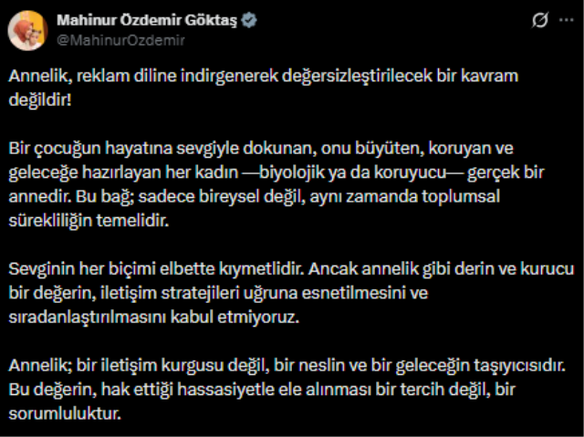 Aile ve Sosyal Hizmetler Bakanlığı, Bosch'un Anneler Günü reklamından davacı oluyor
