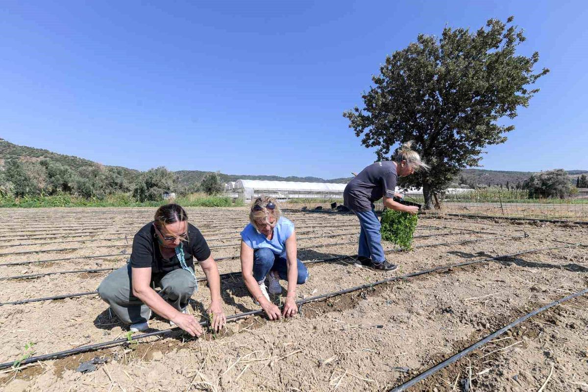 İzmir’den stevia gazozuna büyük destek