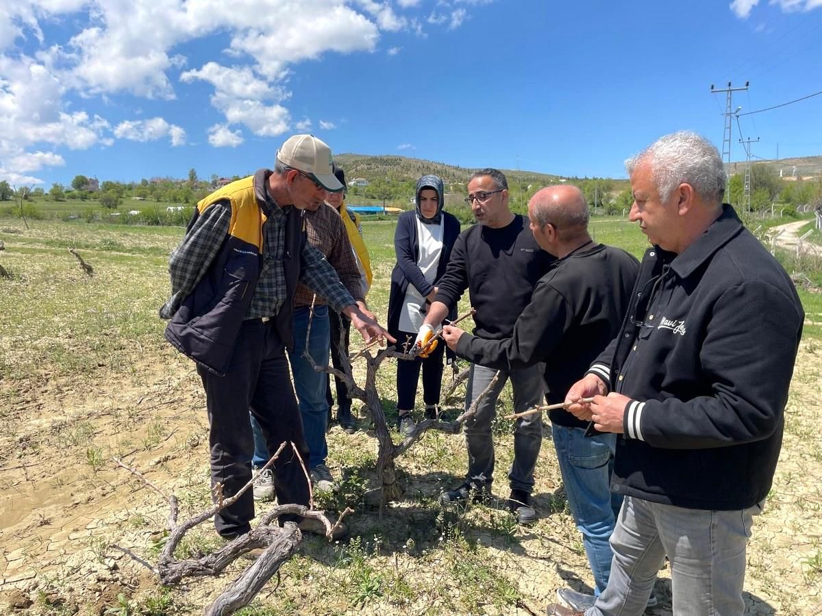 Elazığ\'da Üreticilere Tarla Okulu Eğitimi