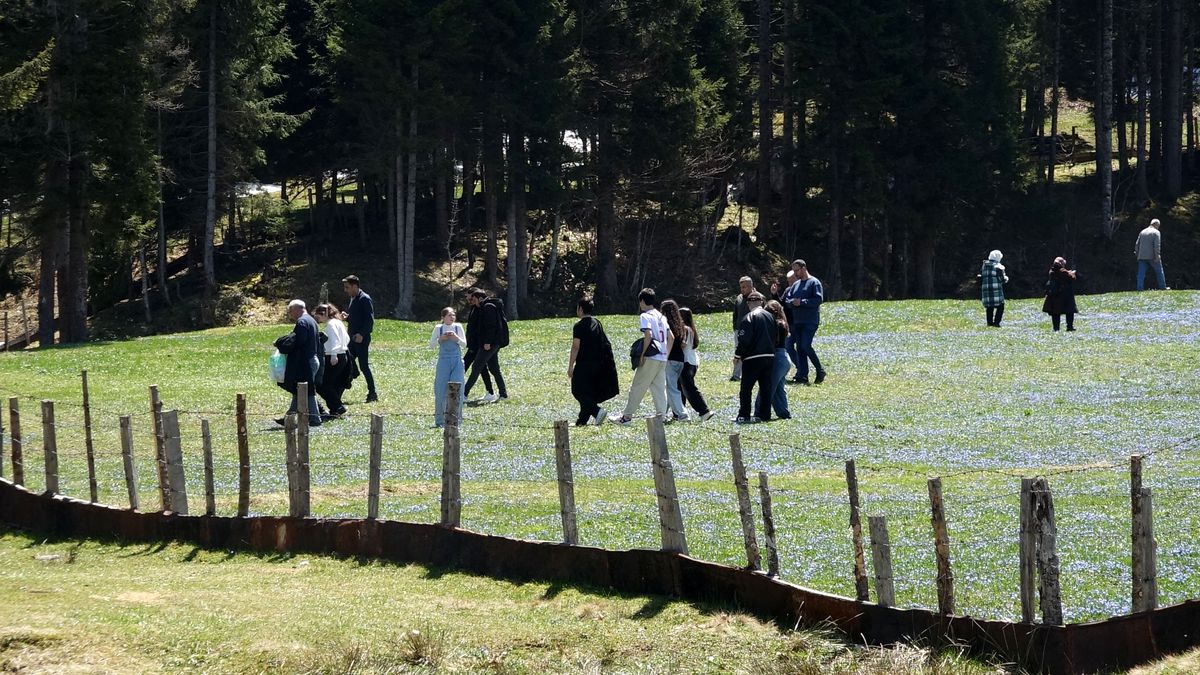 Kadıralak Yaylası Mavi Yıldızlarla Şenlendi