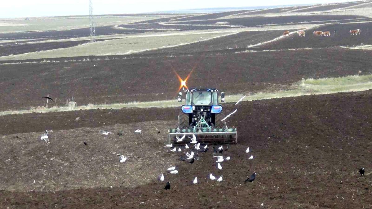 Kars\'ta Ekim Süreci Zorlaşıyor