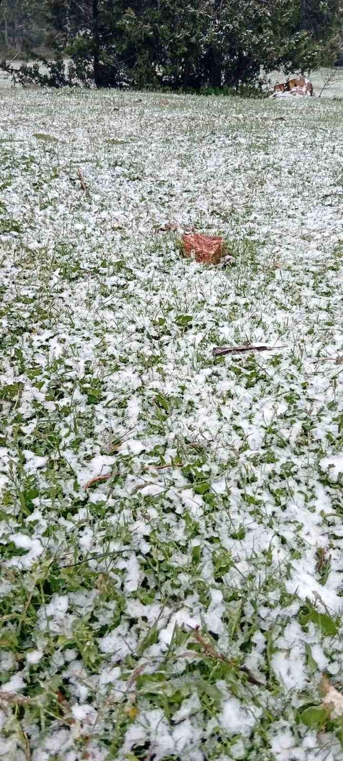 Hocalar’da Mayıs Karı Şaşırttı