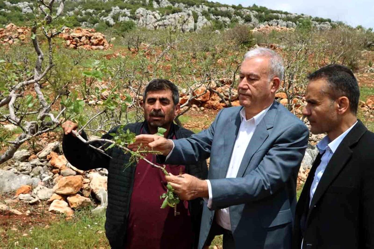 Gaziantep\'te Süper Hücre Fırtınası Tarımı Vurdu