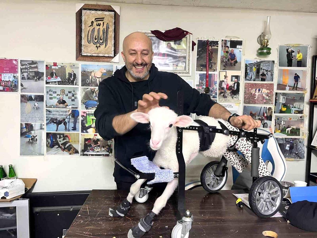 Merhametle Hayatı Değiştiren Usta