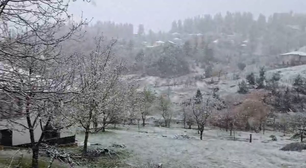 Adana, Mersin ve Osmaniye\'de Kar Yağışı