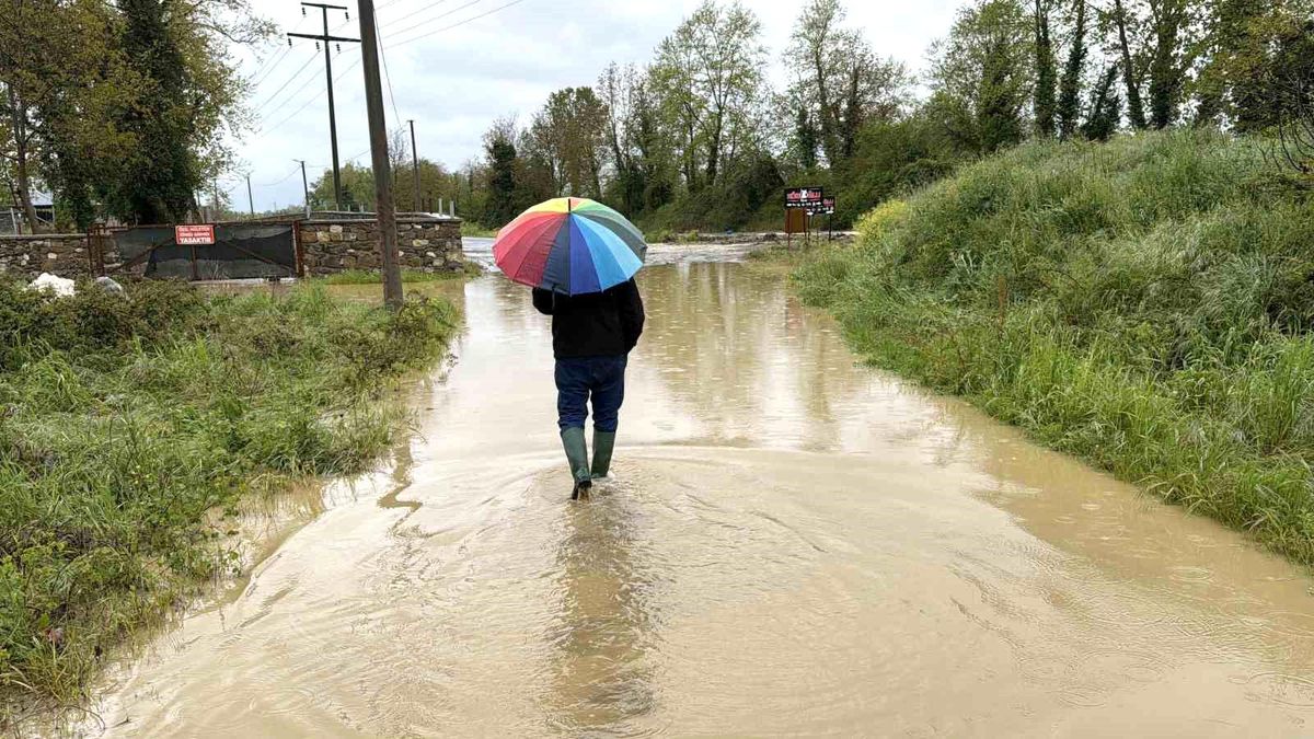 Düzce\'de sağanak köprü yıktı, tarım arazileri ve evleri su bastı