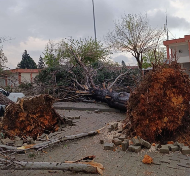 Gaziantep'i 