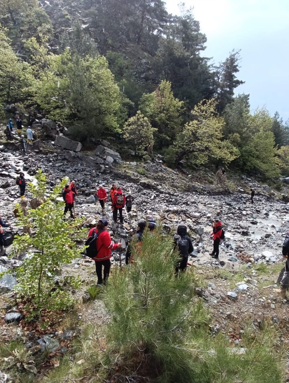 Kaybolan Zihinsel Engelli Ahmet Açıkkol İçin Arama Çalışmaları Başlatıldı