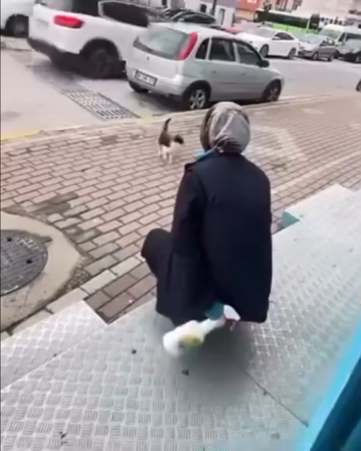 Kedinin yüzüne sprey sıkan market çalışanı gözaltına alındı