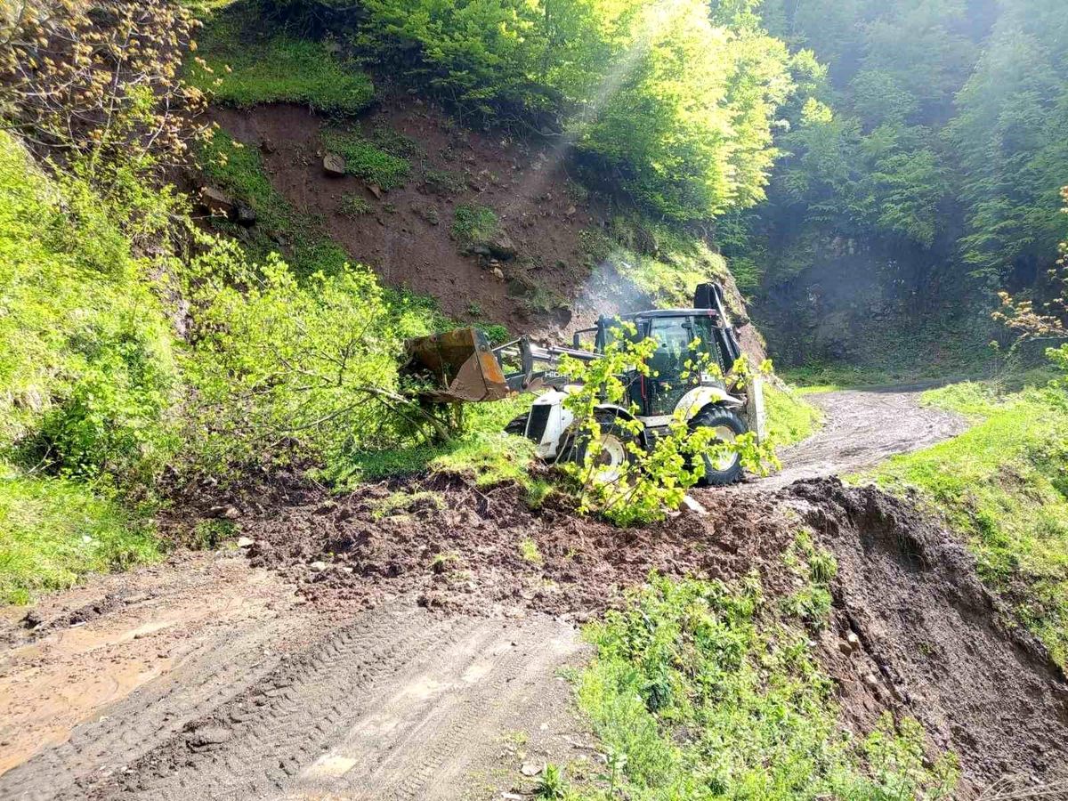 Ordu\'da yağışların ardından 120 noktada heyelan