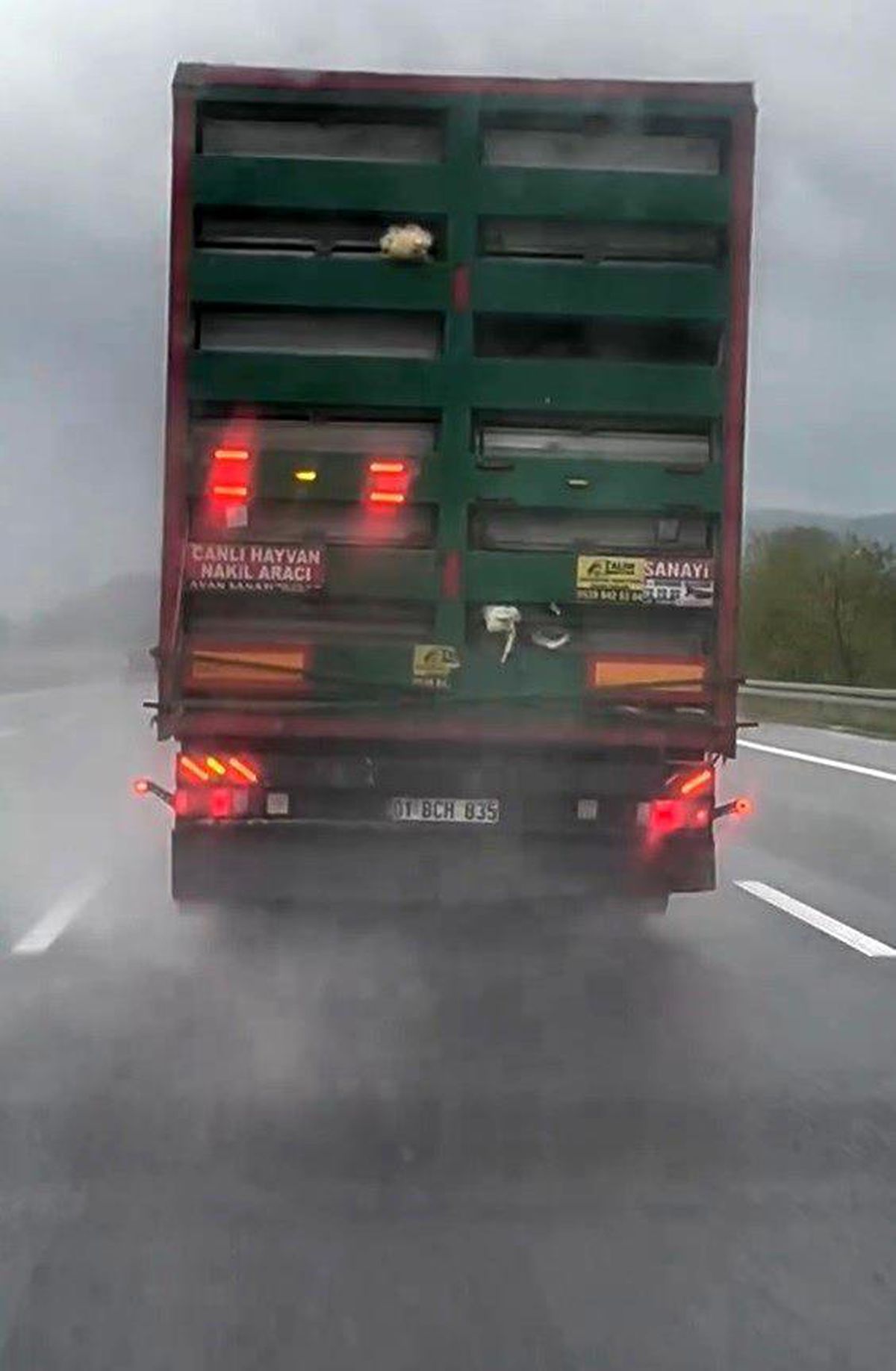 Tırın Dorsesindeki Tavuklar Trafiği Tehdit Etti