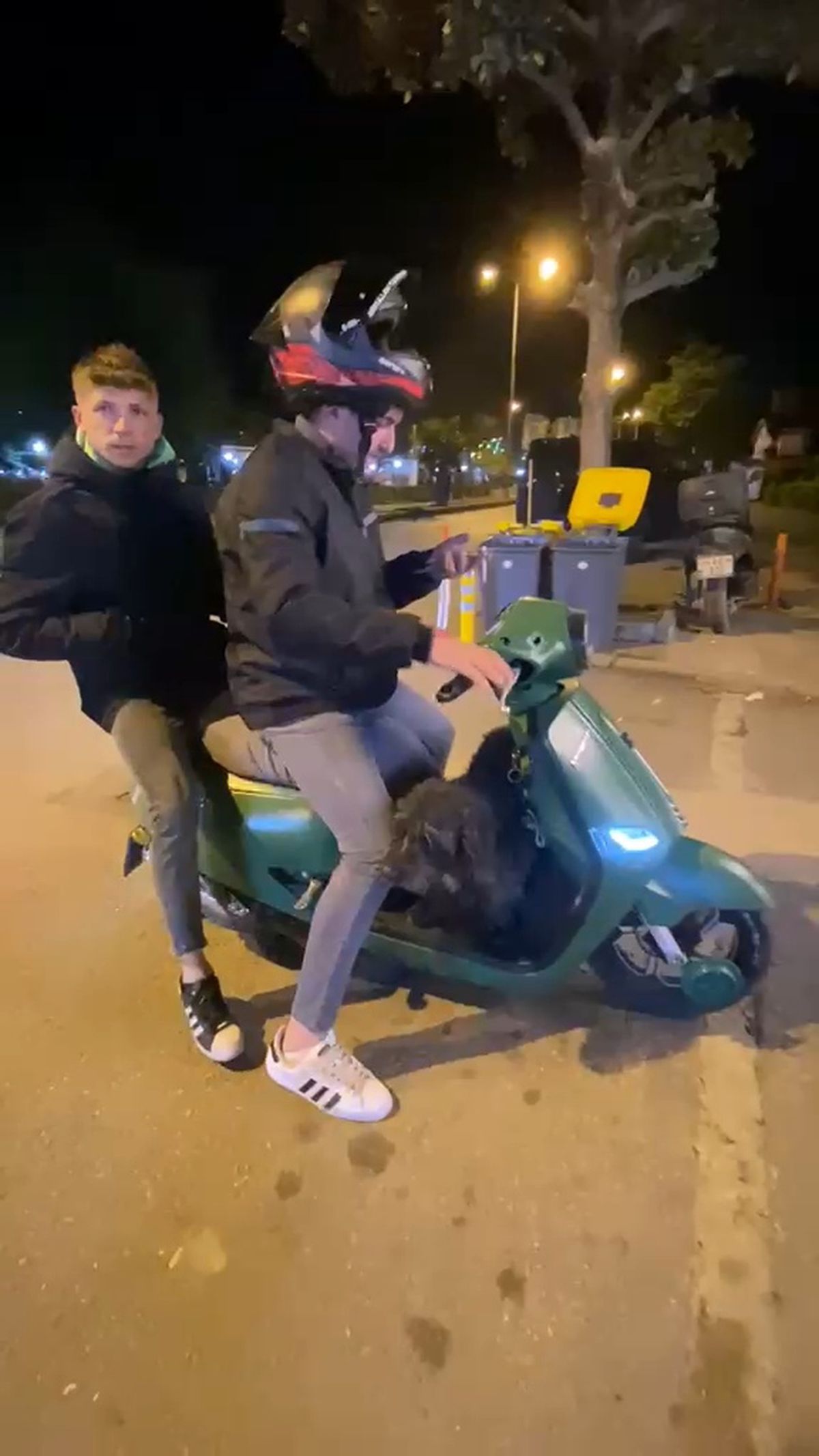 Sokak Köpeği Motosiklete Bindi