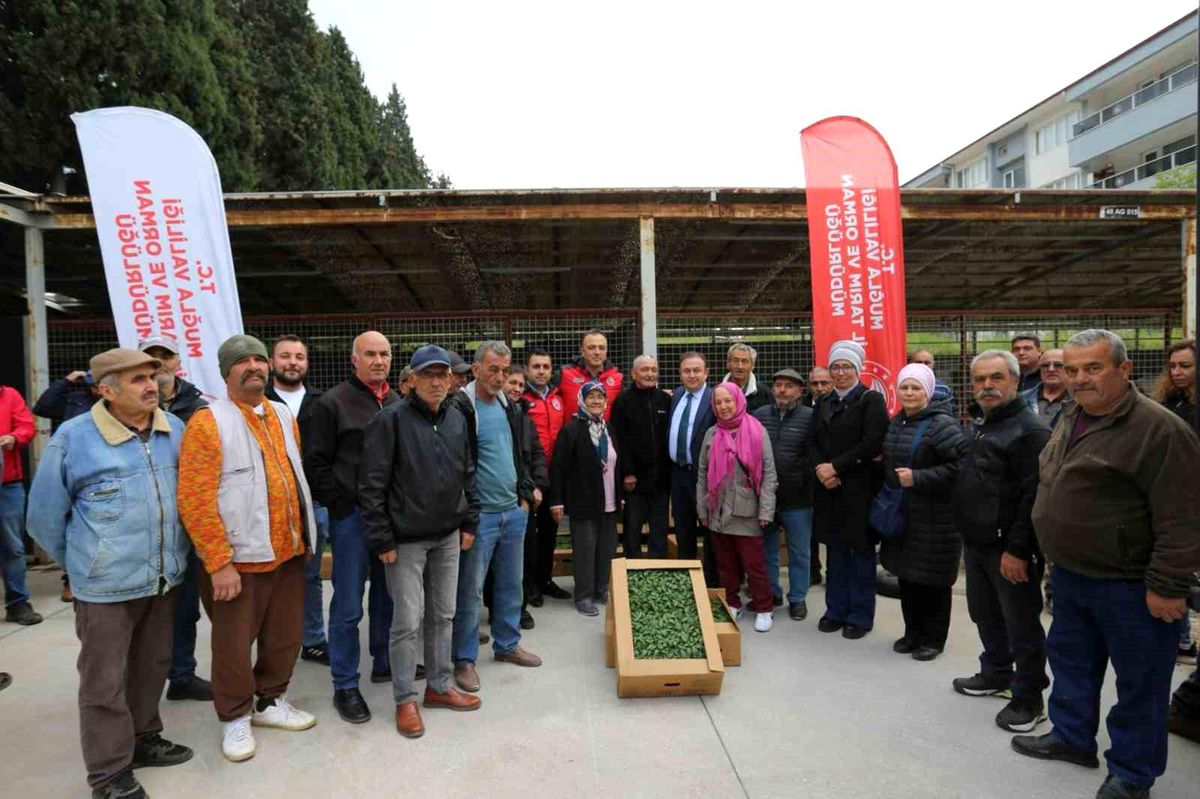 Ata Tohumlarıyla Yerli Üretim Destekleniyor