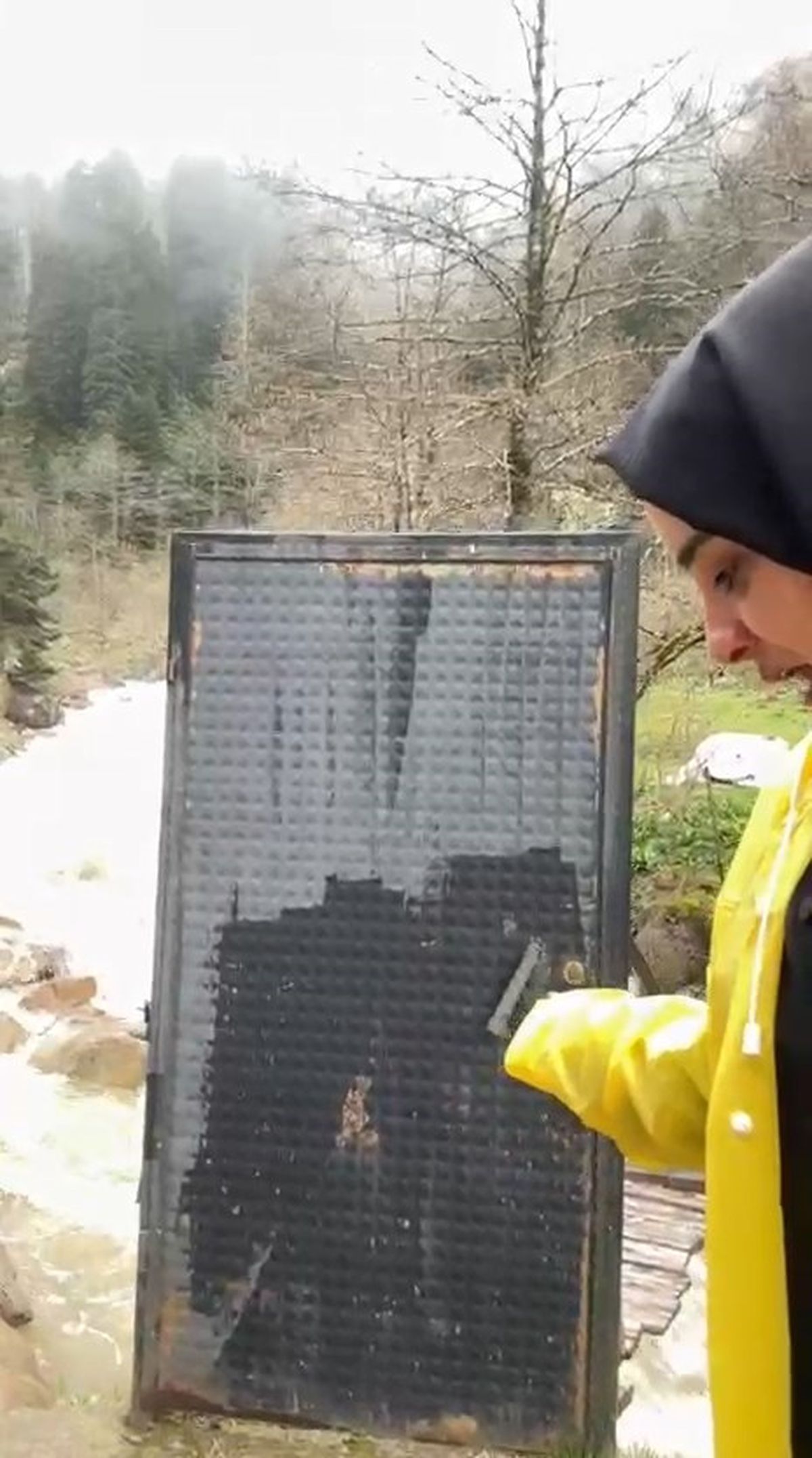 Rize\'de Kilitli Köprü Şaşkınlık Yarattı