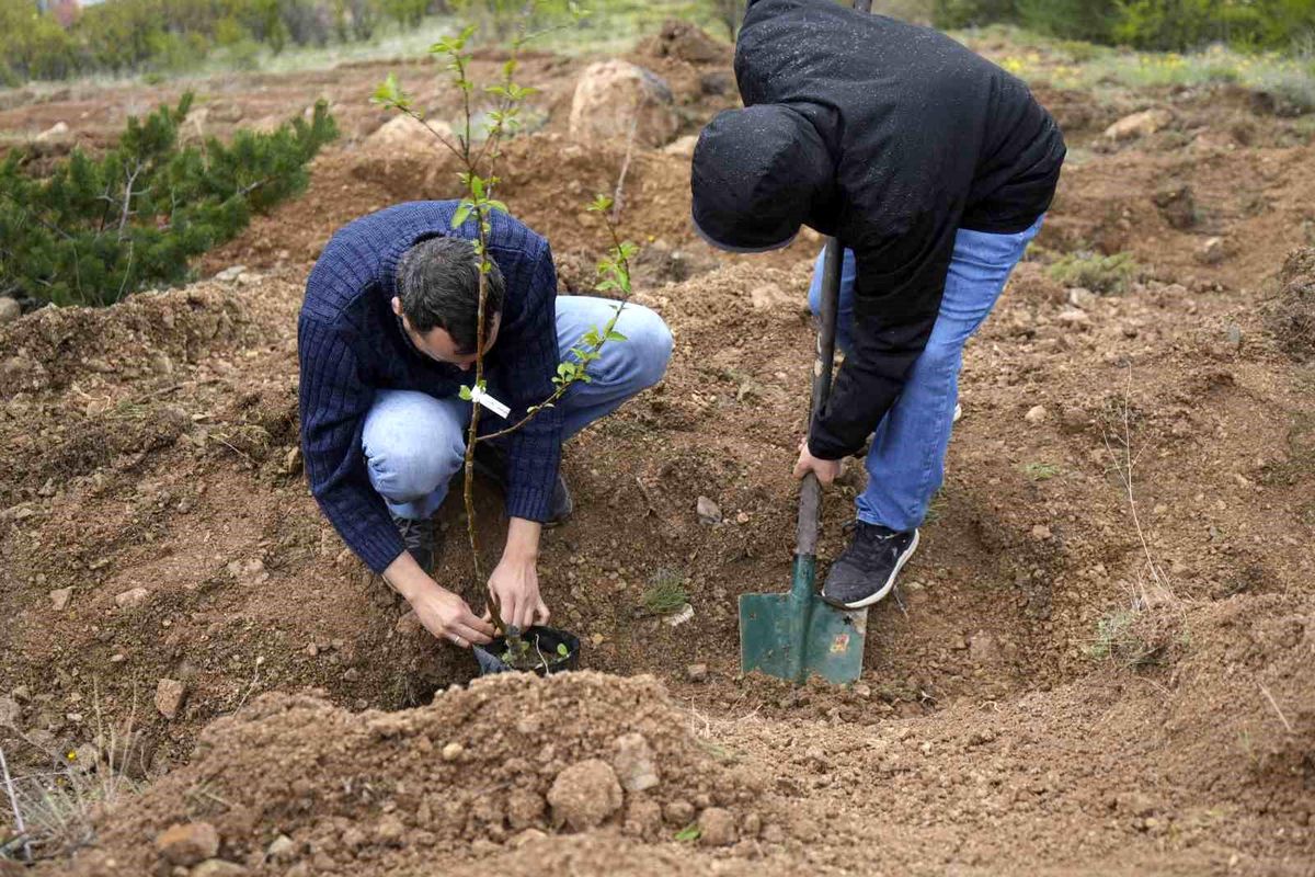 Gümüşhane Üniversitesi\'nde Yerel Meyve Fidanları Dikildi