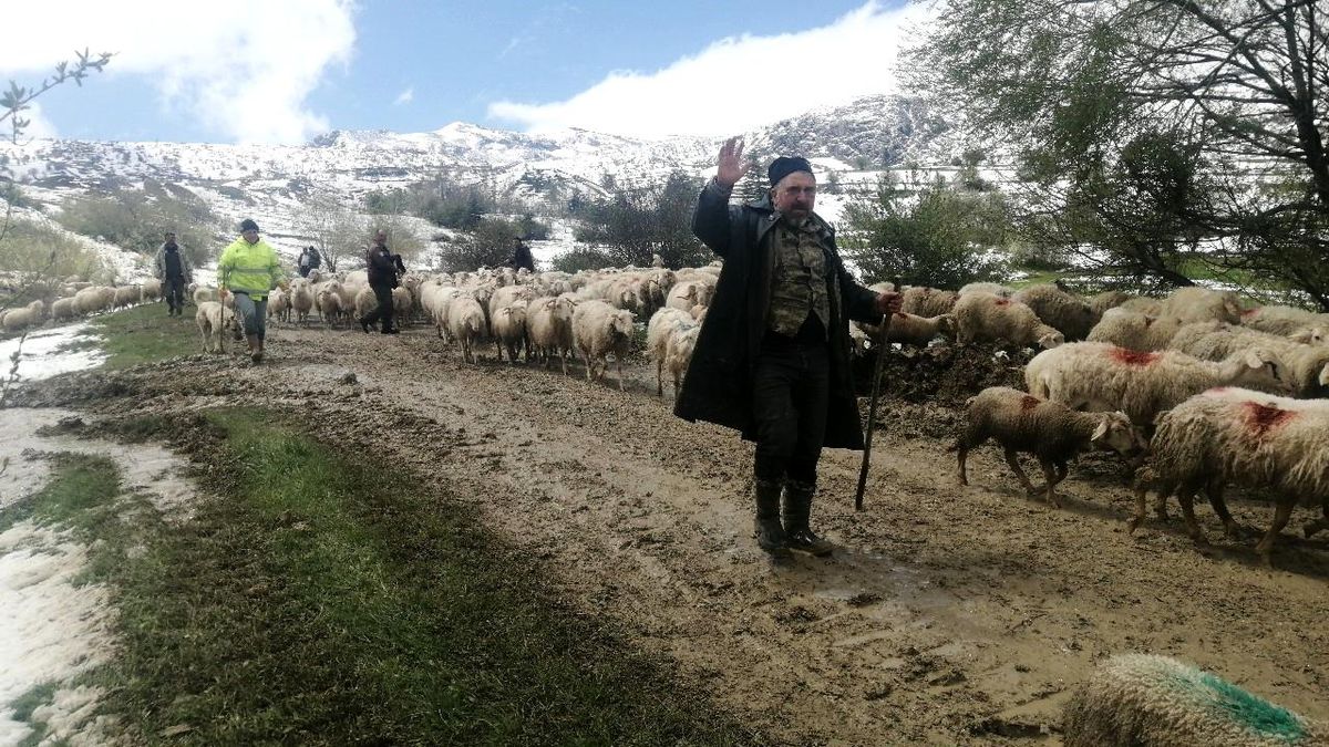 Yalvaç\'ta Çobanlar Mahsur Kaldı